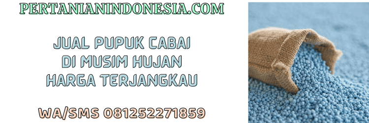 jual,murah,terjangkau,toko pertanian terdekat,pertanian indonesia